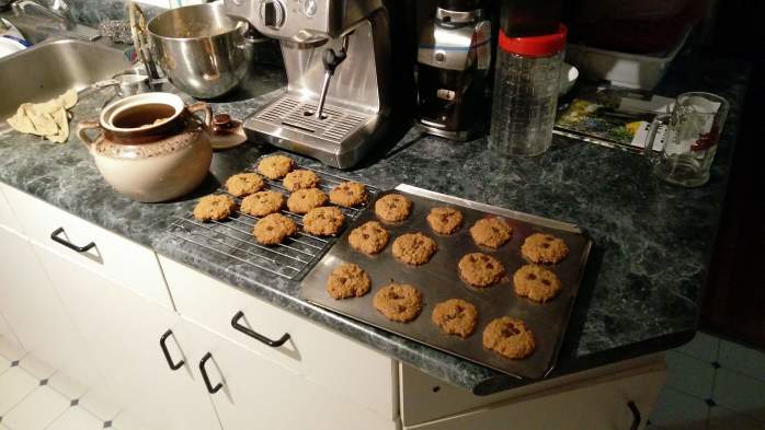Oatmeal Chocolate Chip Cookies