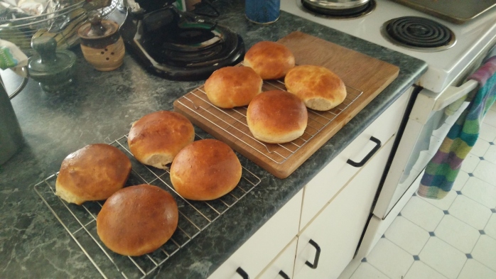 Brioche Buns